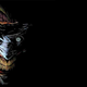 Illustration for article titled The Complete History Of The Joker's Many, Many Incarnations